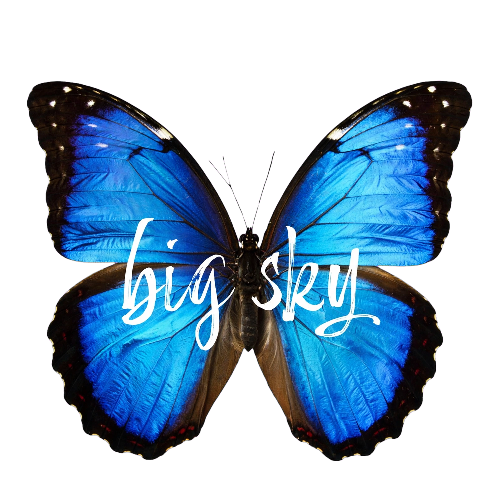 Big Sky Digital Marketing
